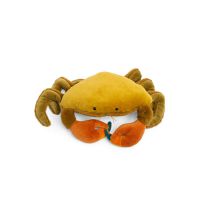 Grand crabe - Tout autour du monde  