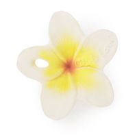 Hawaii-the-Flower-1.jpg
