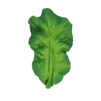KENDALL-THE-KALE-1-preview-600x600.png
