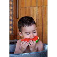 L-WALLY-THE-WATERMELON-UNIT-4-36-preview.jpg